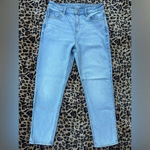 American Eagle Outfitters Striged Mom Jean